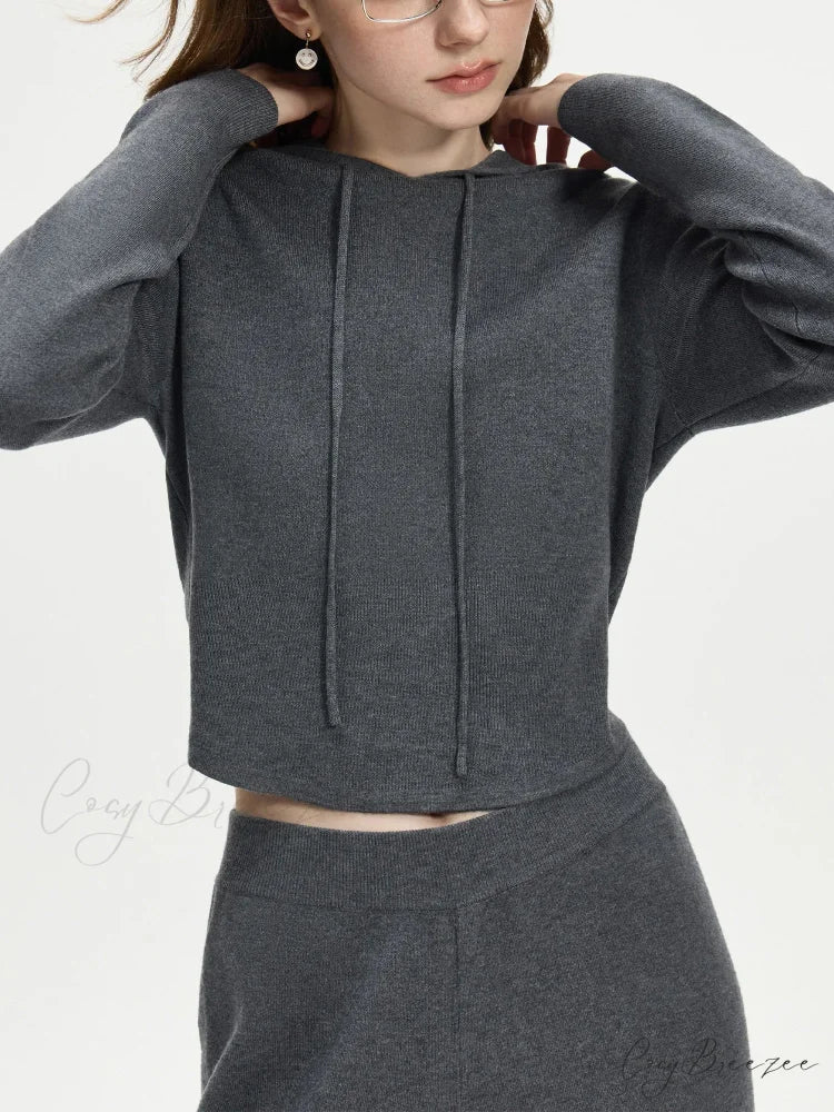 4.1% Wool Short Hooded Chic Knitwear Sweater Gray Top / XS swraters-241228
