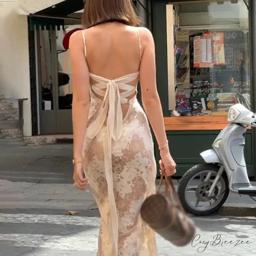 Beige Black Tie Up Graceful Lace Mesh Maxi Dress
