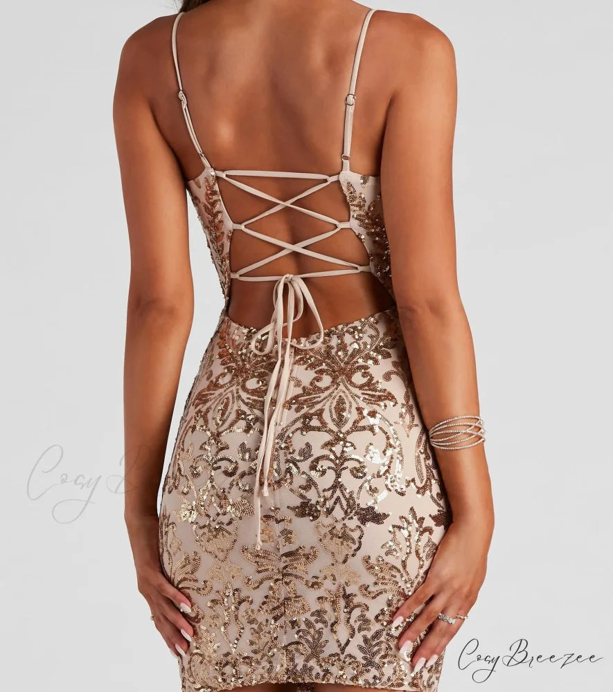 Brianna Sequin Stylish Mesh Bodycon Dress