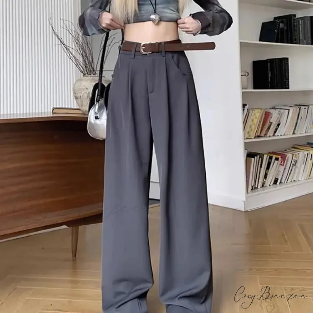 Brown Suit Baggy Office Pants Gray / S pants-241228