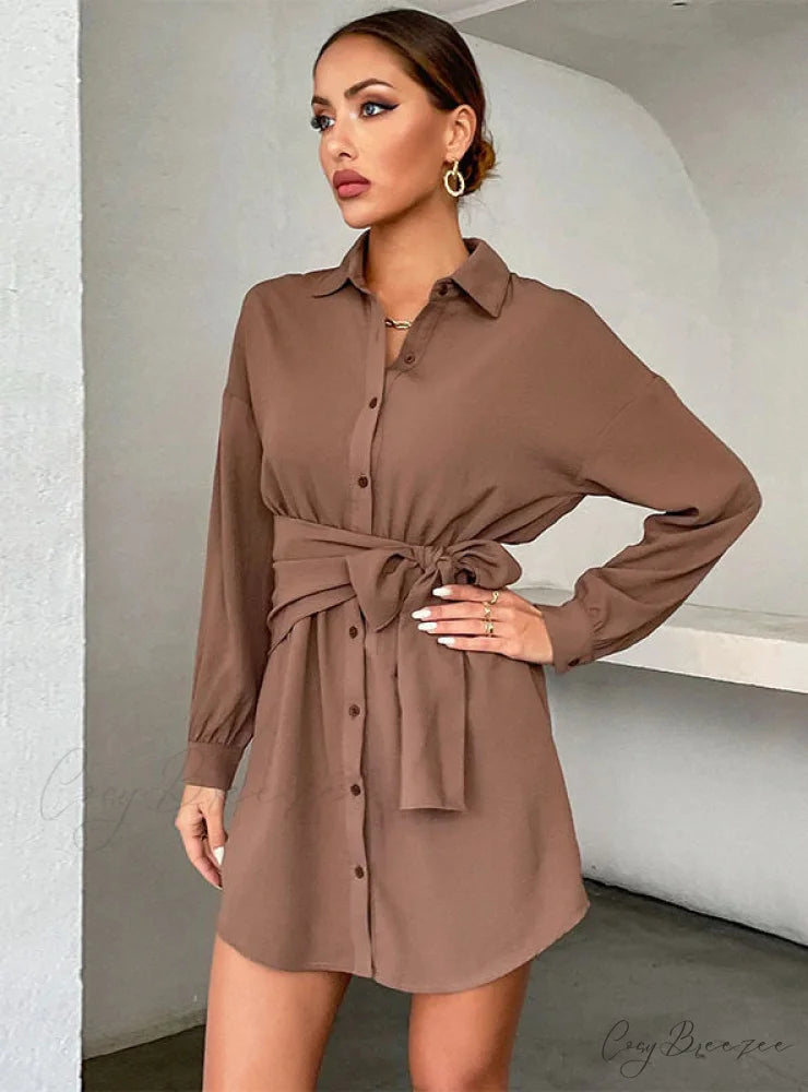 CARDIGAN TIE LAPEL LONG SLEEVE SHIRT DRESS