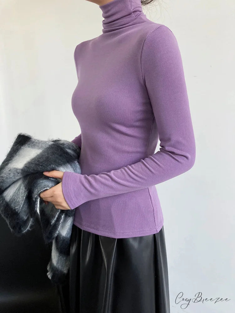 Casual Ribbed Graceful Turtleneck Shirt