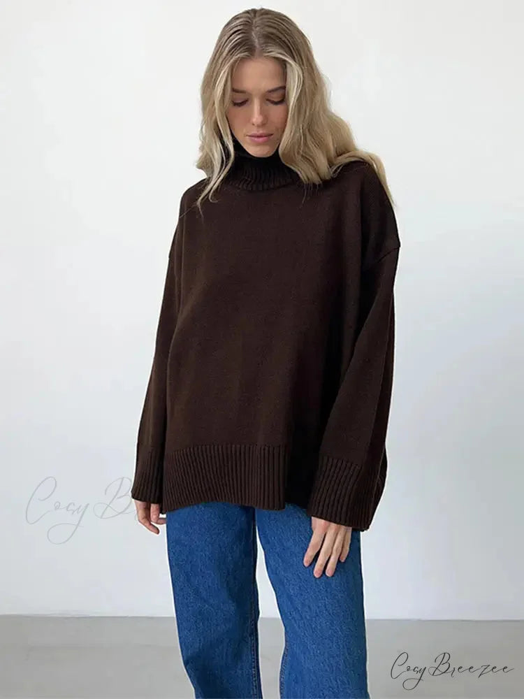 Casual Solid Color Long Sleeve Sweater Brown / S swraters-241228