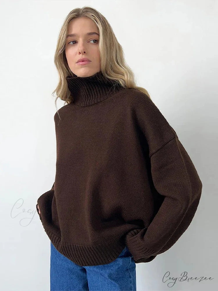 Casual Solid Color Long Sleeve Sweater swraters-241228