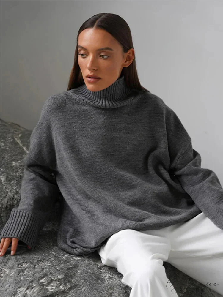 Casual Solid Color Long Sleeve Sweater swraters-241228