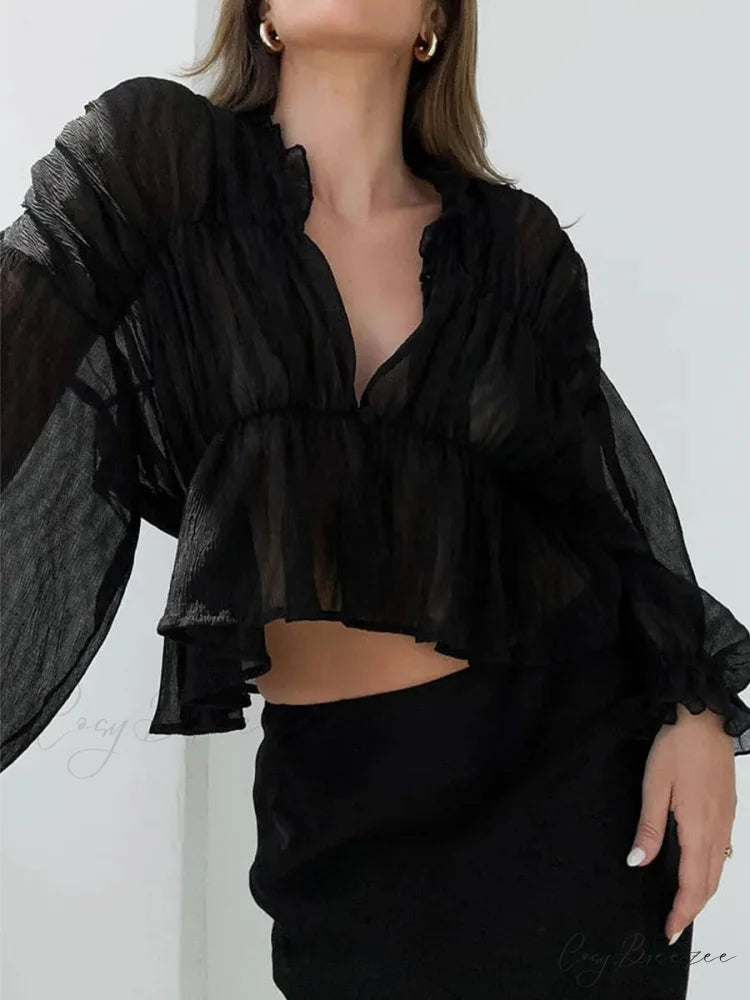 Classic Sheer Mesh Lantern Sleeve Blouse Black / S blouse-250223