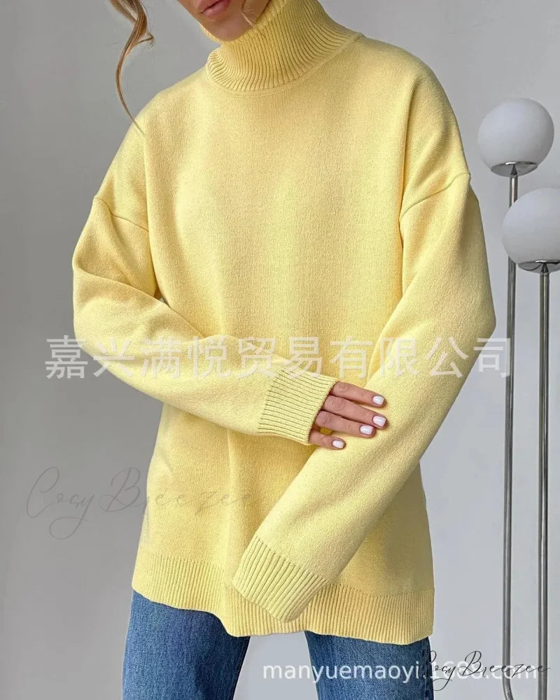 Colorblock Turtleneck Heavy Sweater swraters-241228
