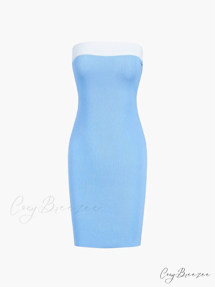 Contrast Trim Graceful Bodycon Short Dress Blue / XS