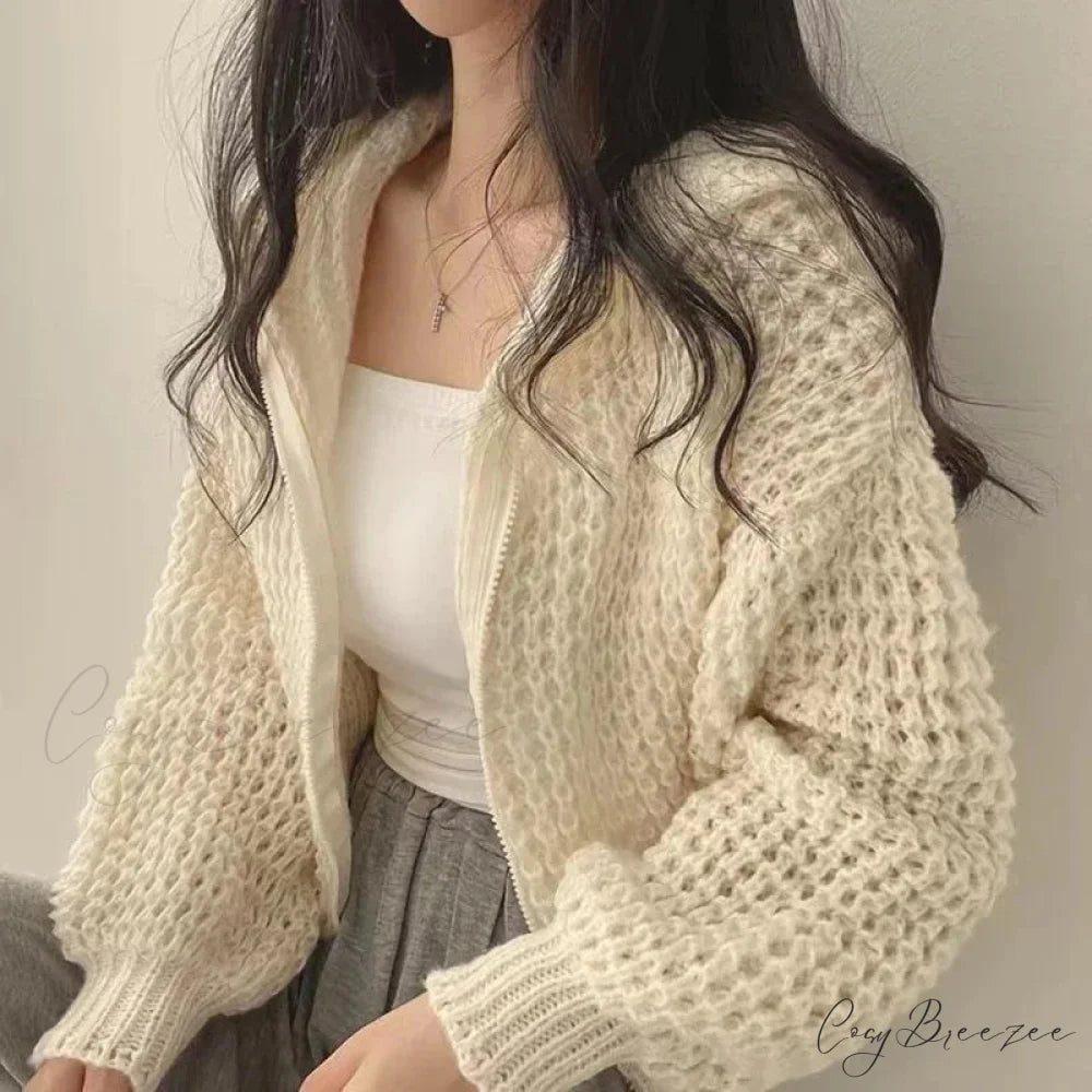 Cropped Hooded Hollow Out Knit Cardigan cardiagn-250126