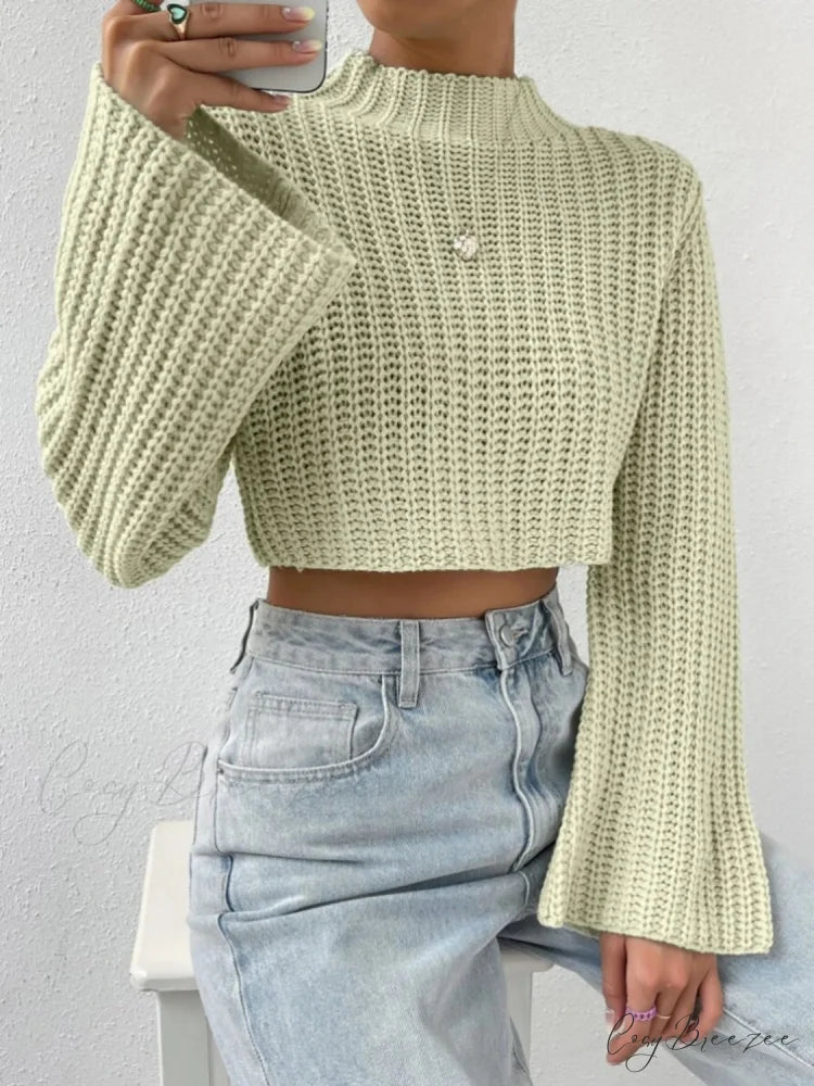 Cropped Long Neck Mock Arm Sweater
