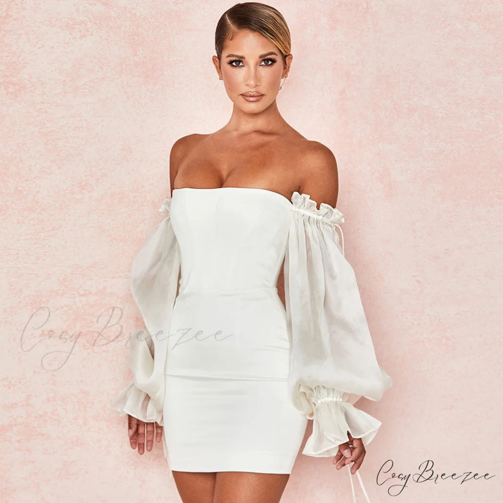 Cute Off Shoulder Puff Sleeve Classic Bodycon Party Mini Dress - Black M / White