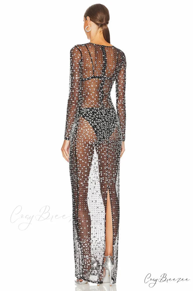 Dazzled Up Crystal Trendy Embellished Sheer Maxi Dress