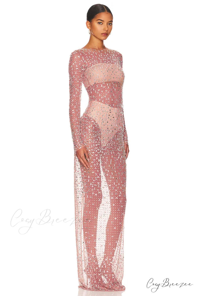 Dazzled Up Crystal Trendy Embellished Sheer Maxi Dress