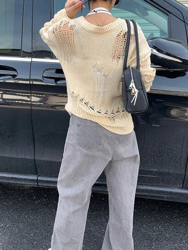 Distressed Crochet Knit Trendy Long Sleeve Crop Top