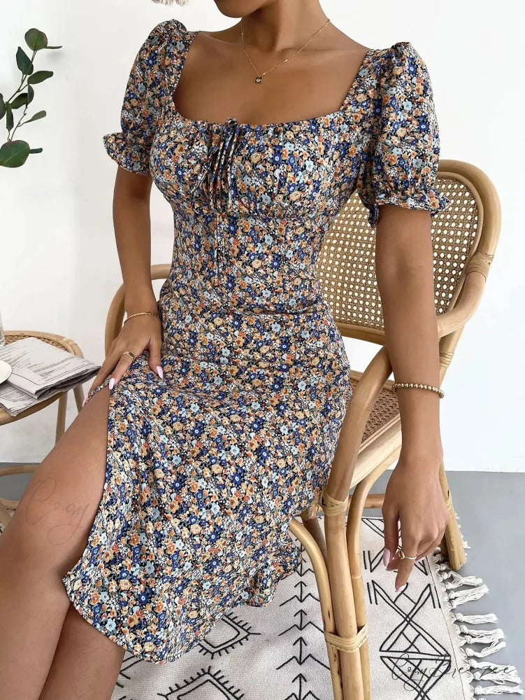 Elegant Pleated A-line Floral Print Casual Dress oldfloraldress-250126