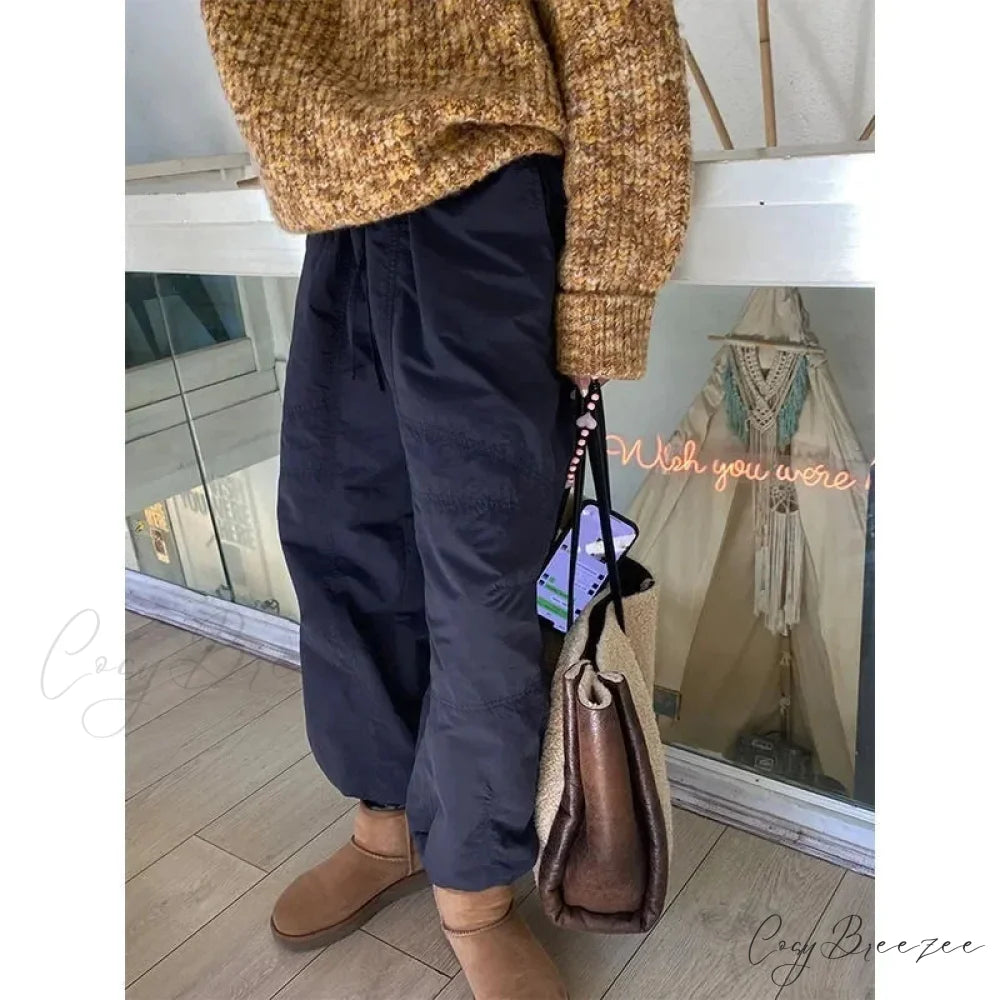 Gray Brushed Winter Korean Fashion Pants Blue / S pants-241228