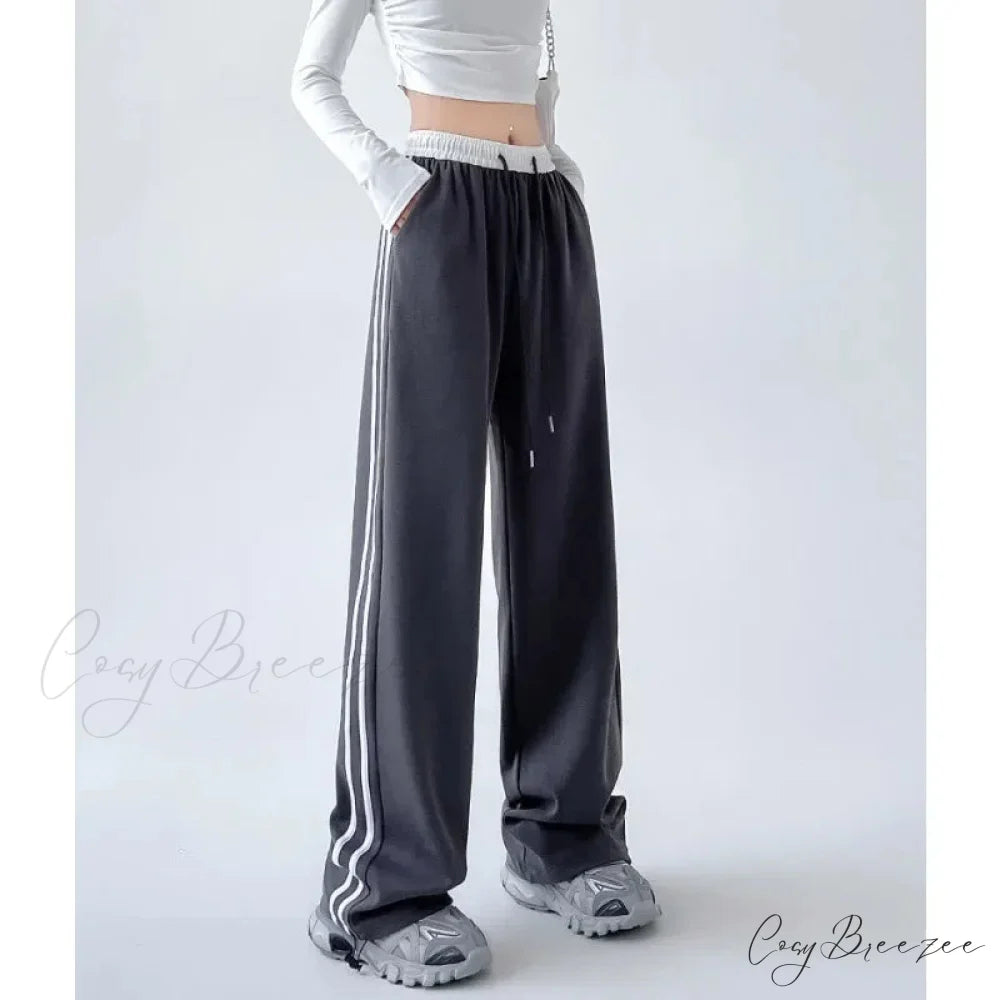 Gray Striped Casual Sweatpants Pants Deep gray / S pants-241228