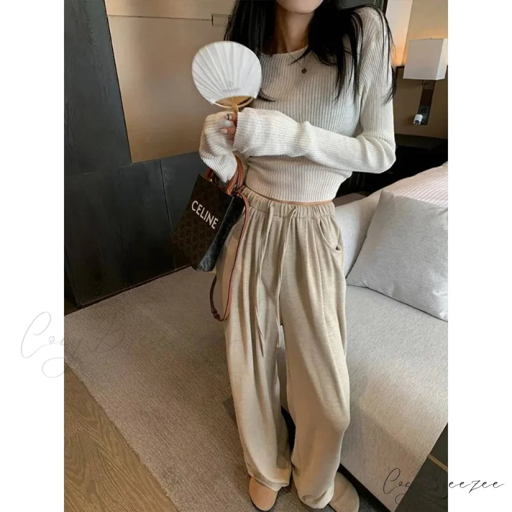 Grey Oversized Baggy Pants coffee / S pants-241228