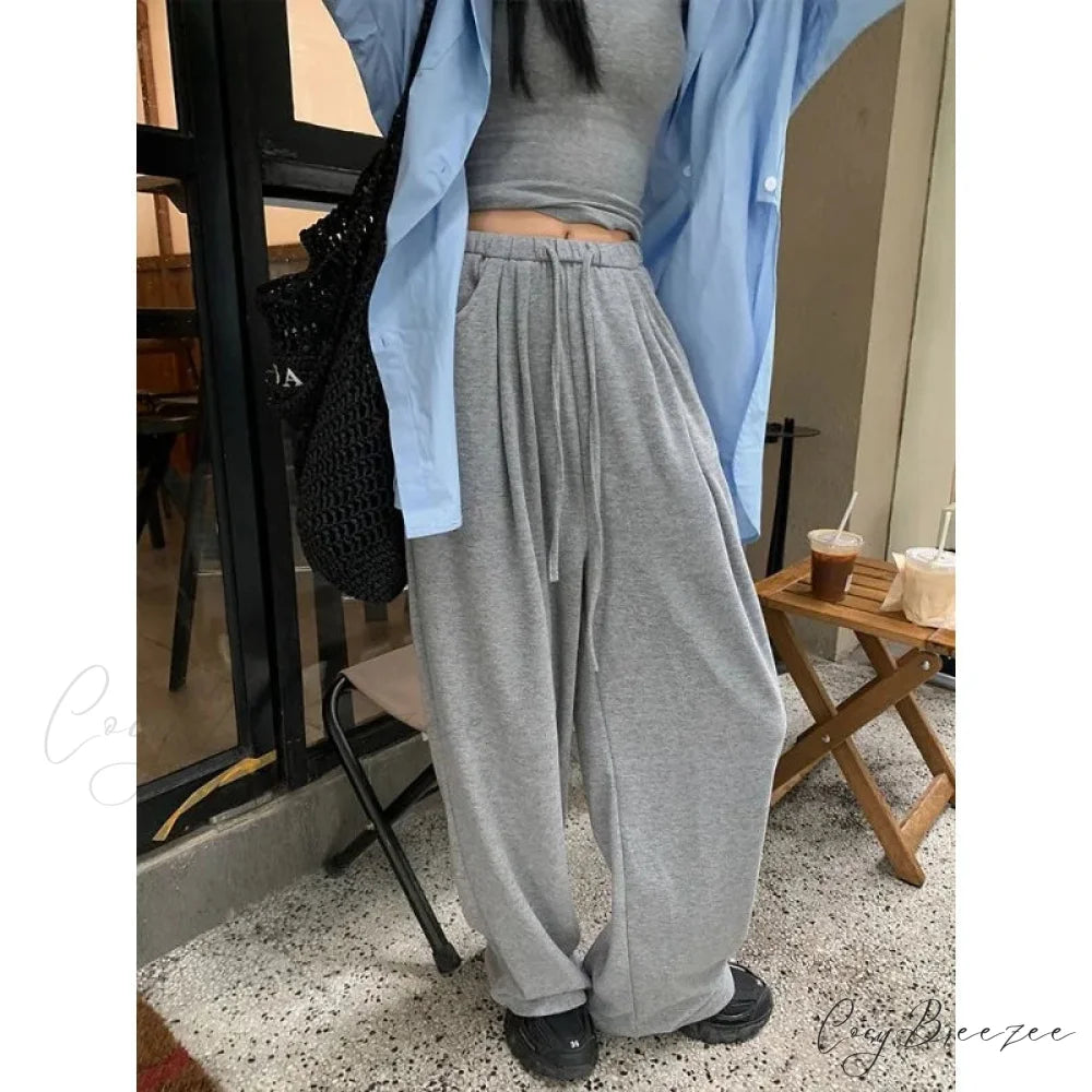 Grey Oversized Baggy Pants grey / S pants-241228