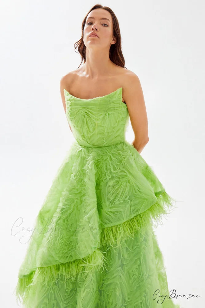 Henri Strapless Graceful Feather Trimmed Gown