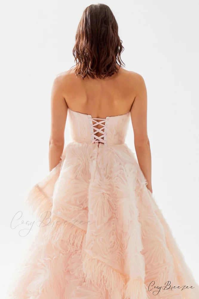 Henri Strapless Graceful Feather Trimmed Gown