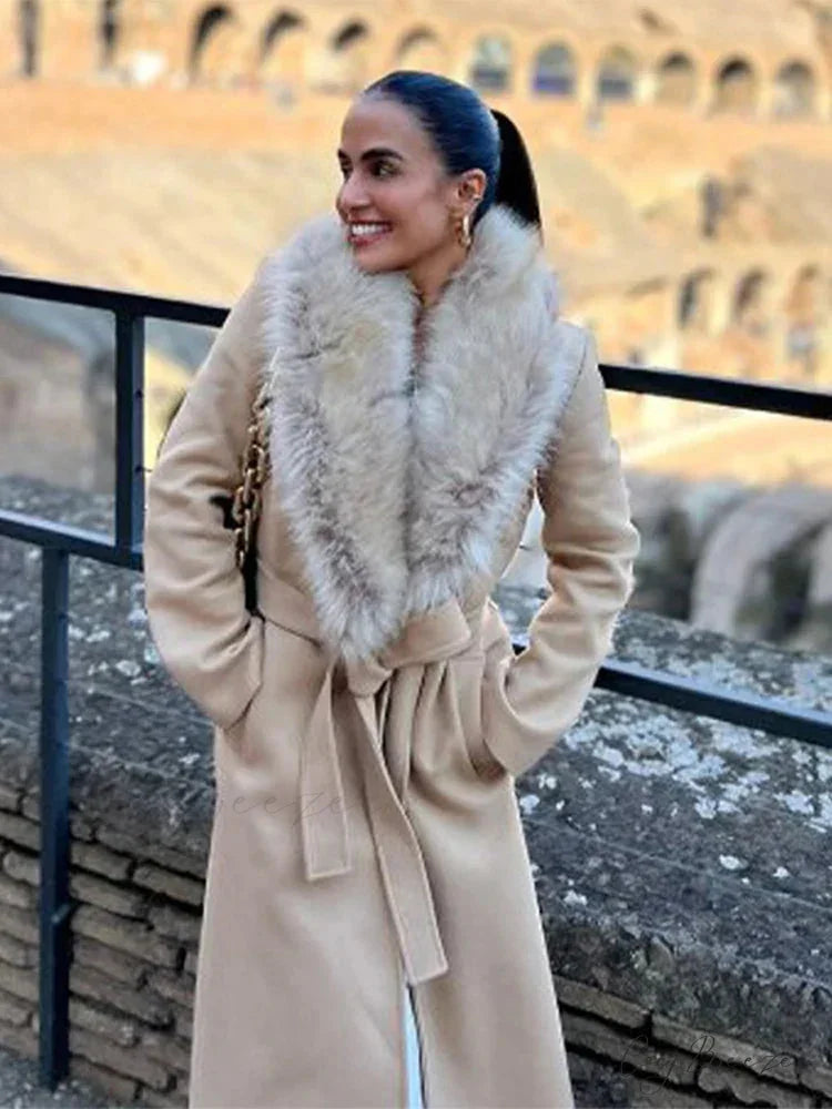 Hidden Button Lapel Maxi Winter Coat apricot / S overcoats-241228