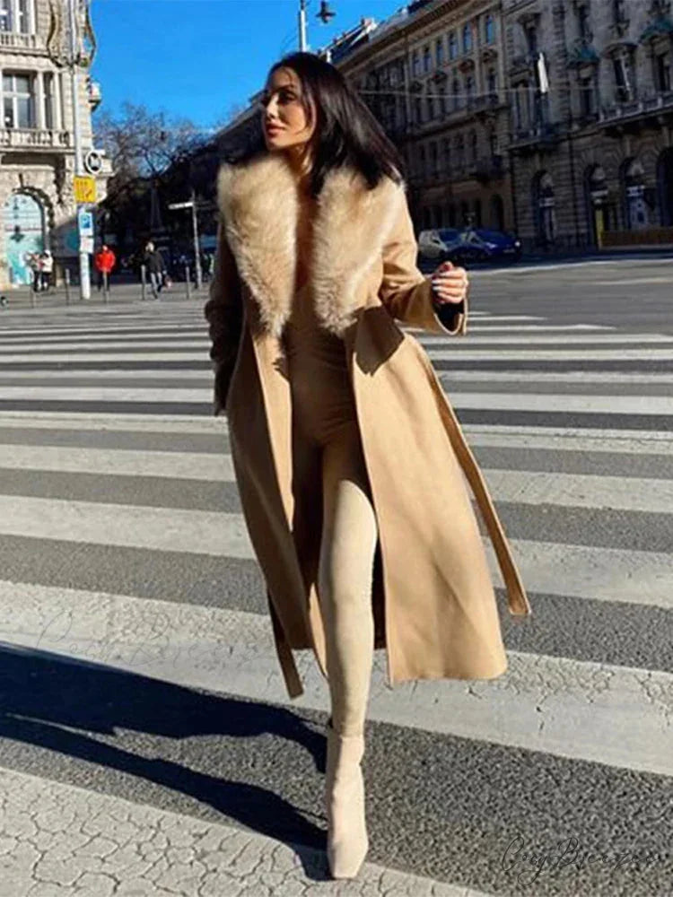 Hidden Button Lapel Maxi Winter Coat overcoats-241228