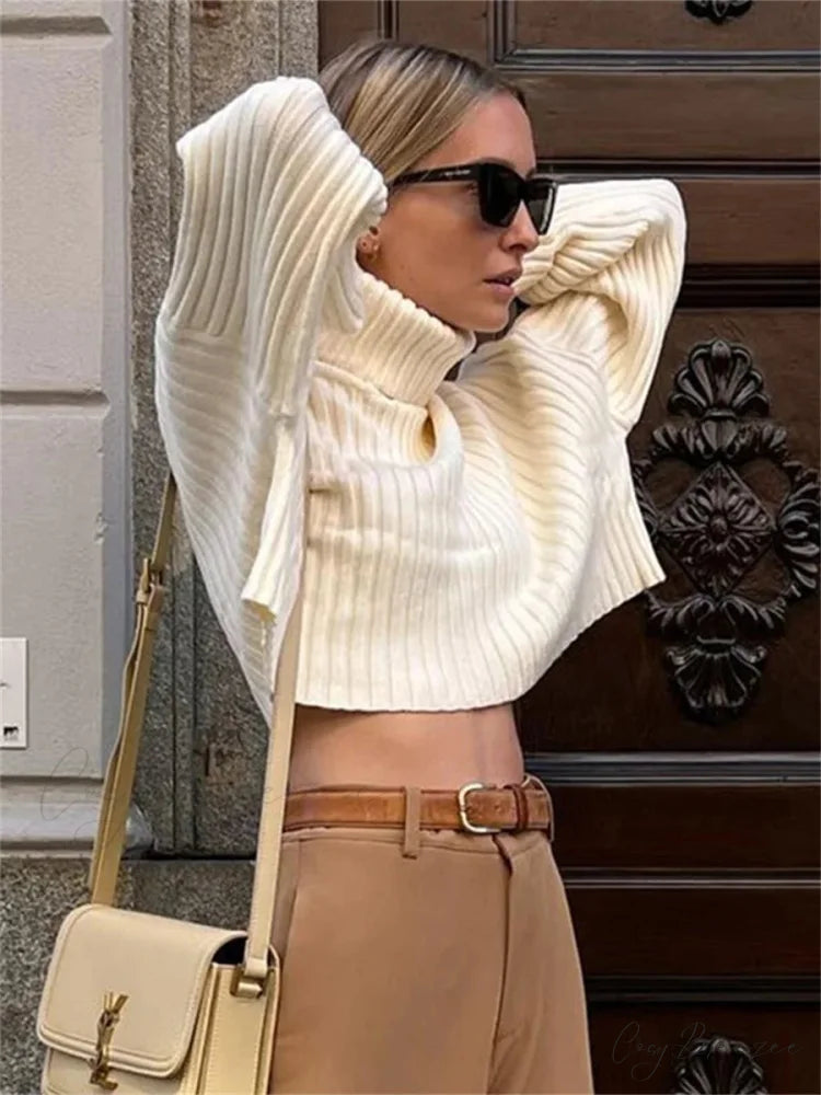 High Neck Ribbed Cropped Sweater swraters-241228