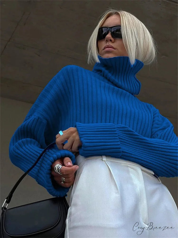 High Neck Ribbed Cropped Sweater swraters-241228