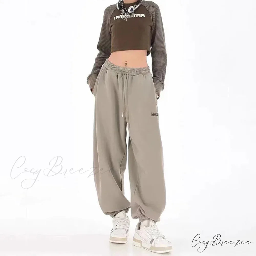 Hip Hop Letter Drawstring Jogging Pants GRAY / S pants-241228