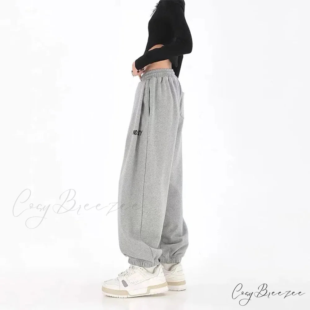 Hip Hop Letter Drawstring Jogging Pants Light Grey / S pants-241228