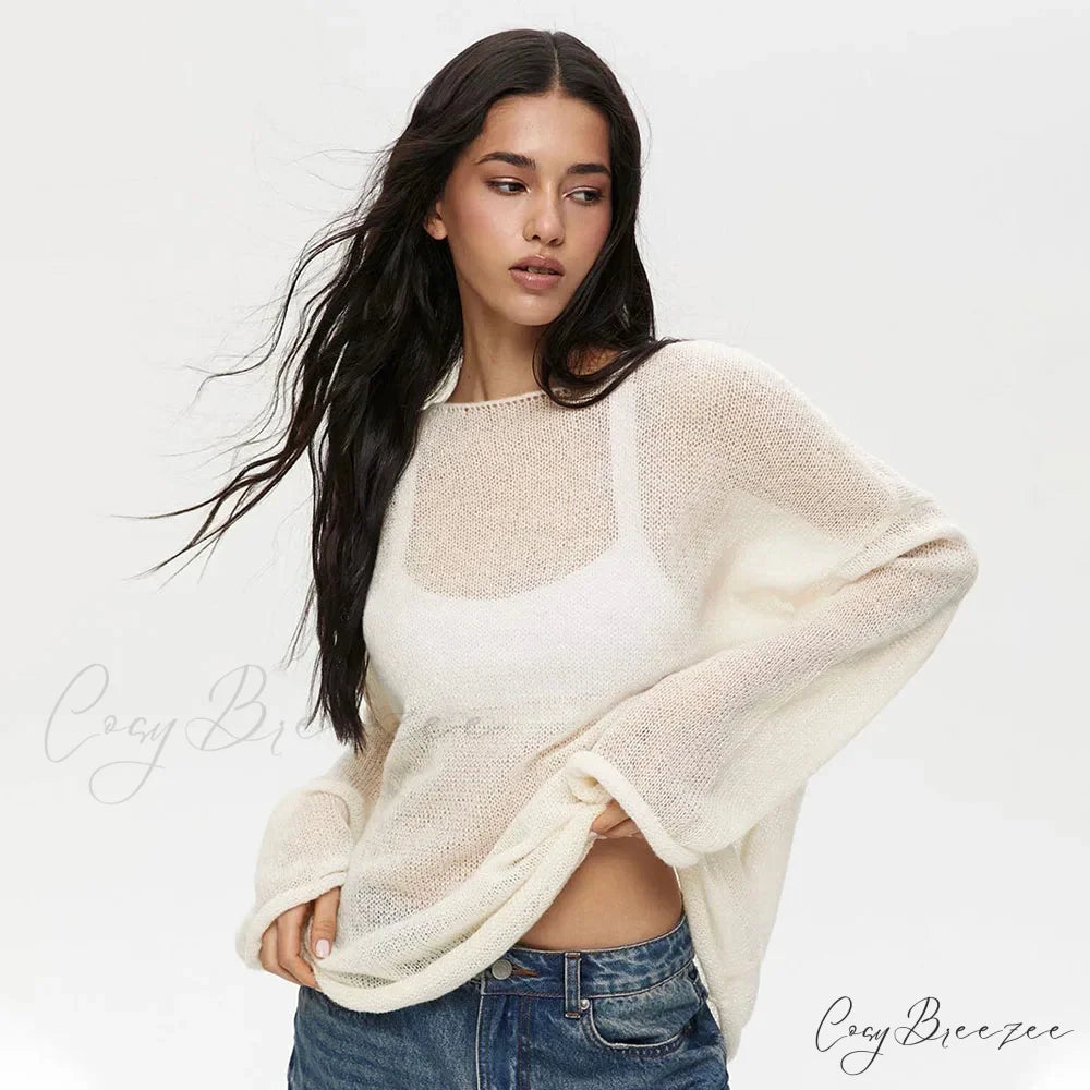 Hollow See-through O-neck Long Sleeve Sweater swraters-241228