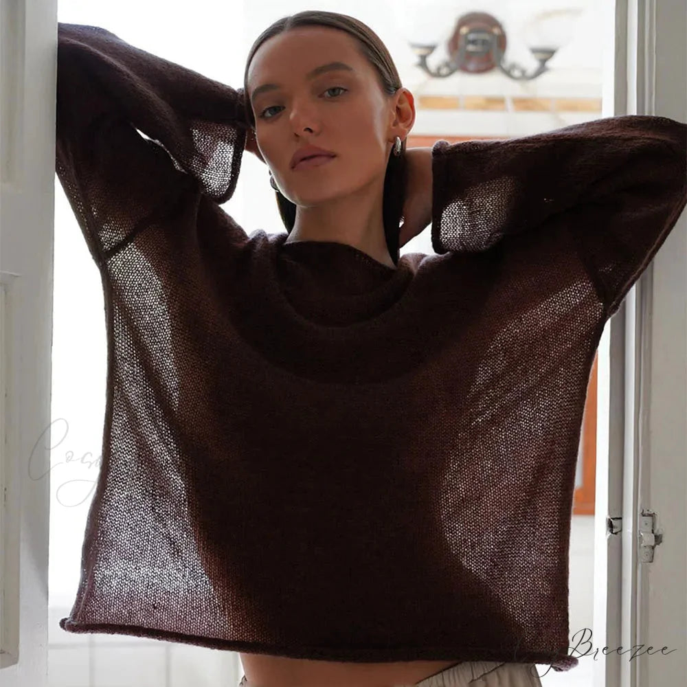 Hollow See-through O-neck Long Sleeve Sweater swraters-241228