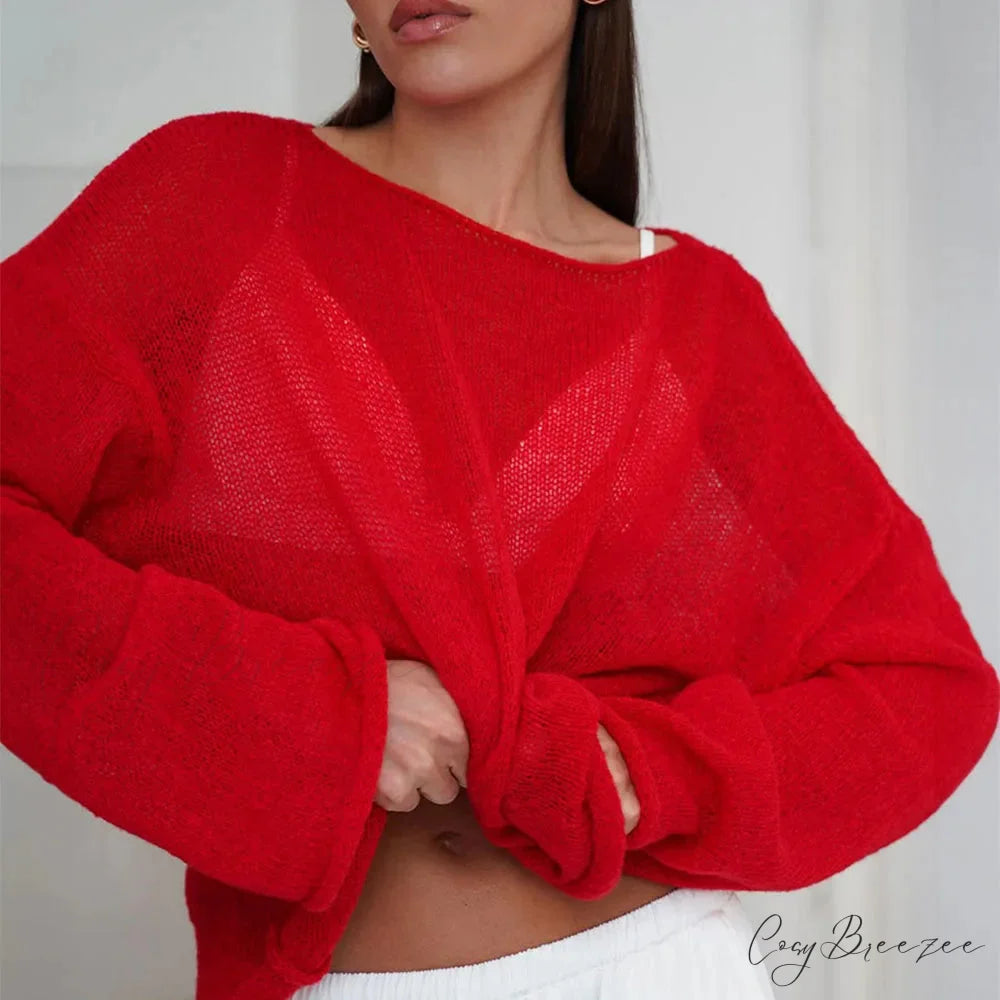 Hollow See-through O-neck Long Sleeve Sweater swraters-241228