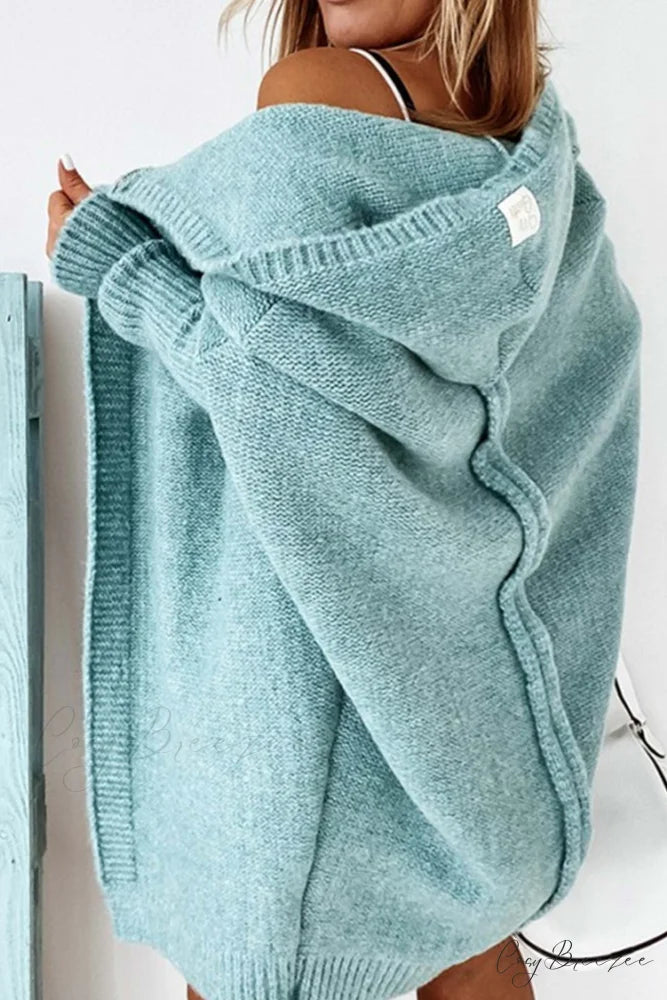 Hoodie Front Open Cardigan Mint Green / L