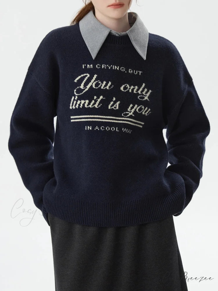 Korean Style Pullover Knitted Sweater deep blue / XS swraters-241228