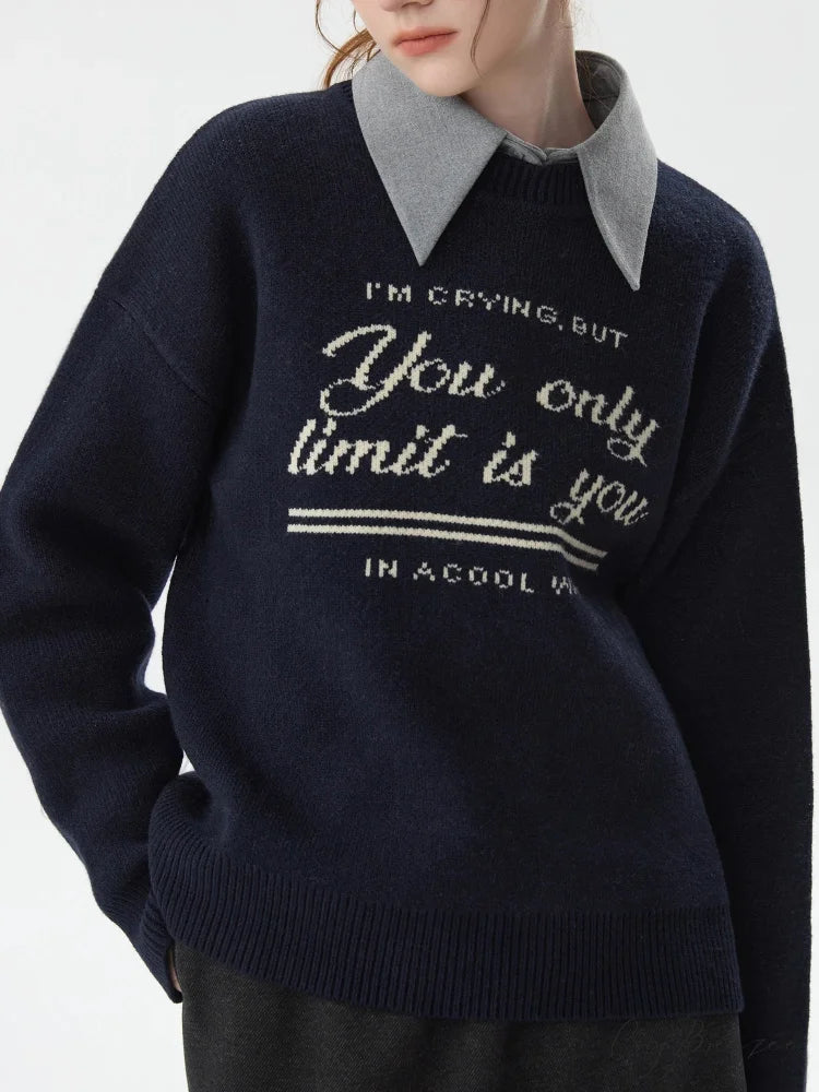 Korean Style Pullover Knitted Sweater swraters-241228