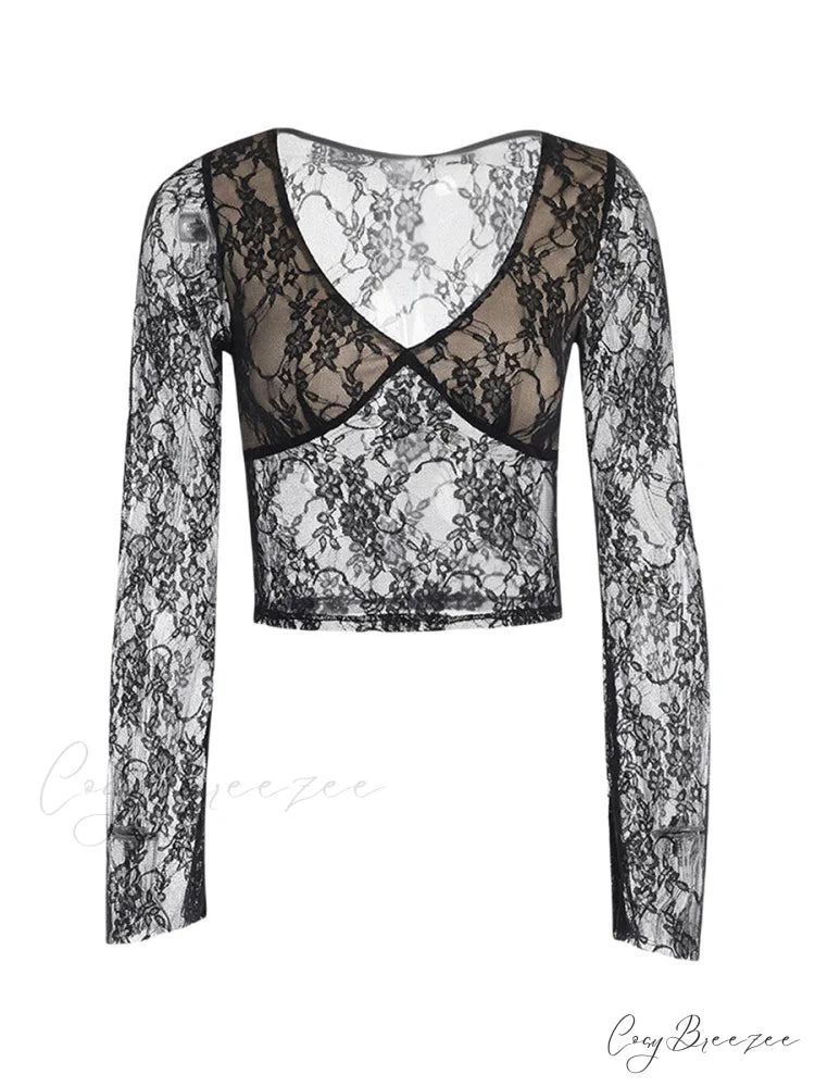 Lace Fairy Grunge V-neck See-Through Slim Fit Stylish Elegant Trendy Classic Crop Top