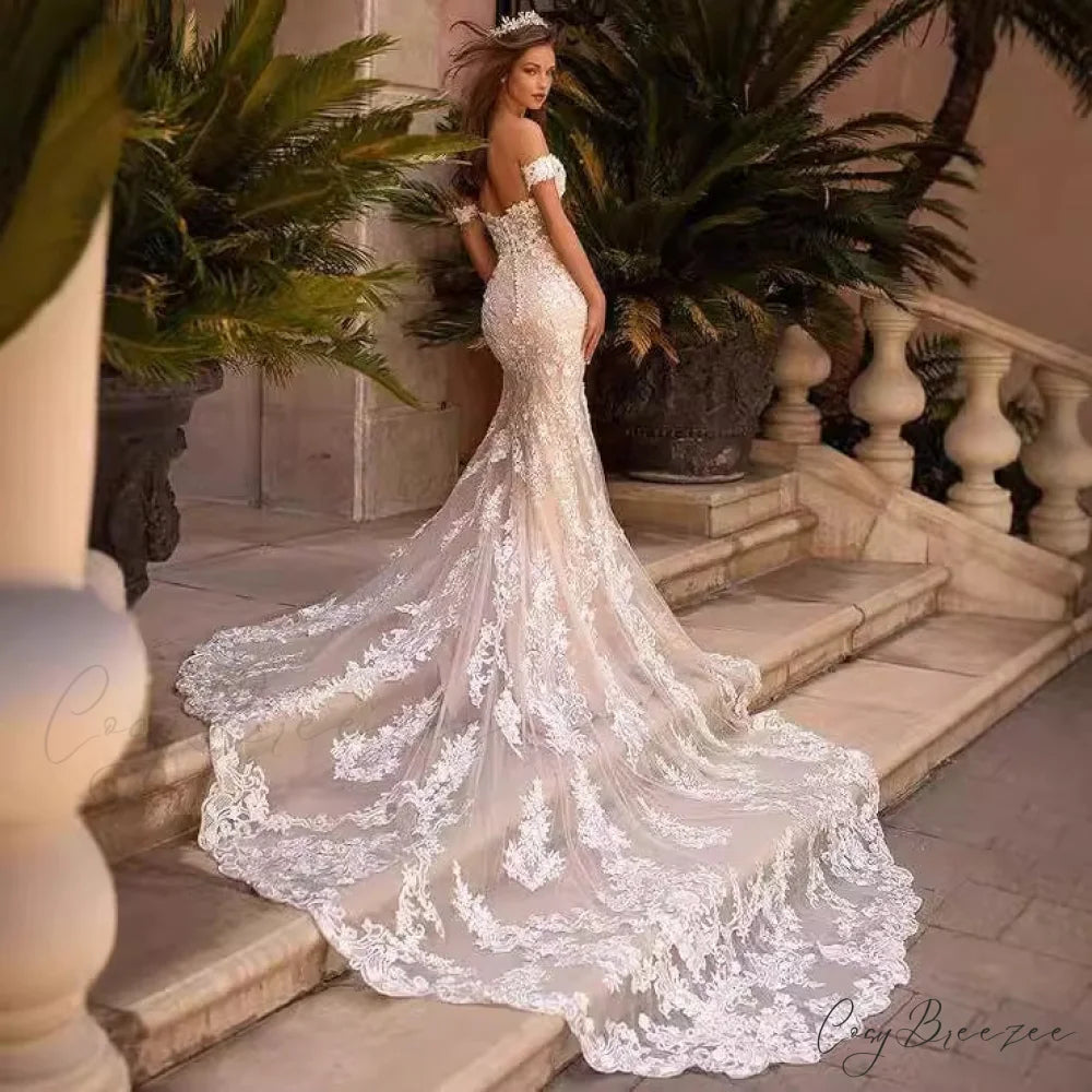 Lace Mermaid Outdoor Wedding Dress weddingdress-250223