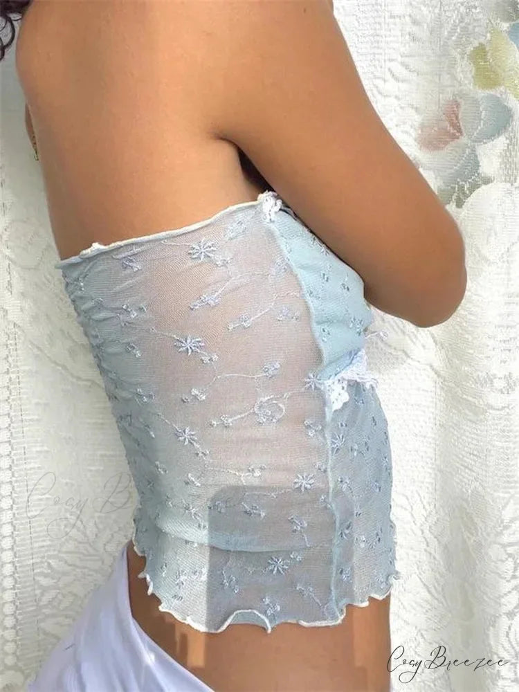 Lace Mesh Y2K Strapless Sheer Tube Crop Top croptop-250126