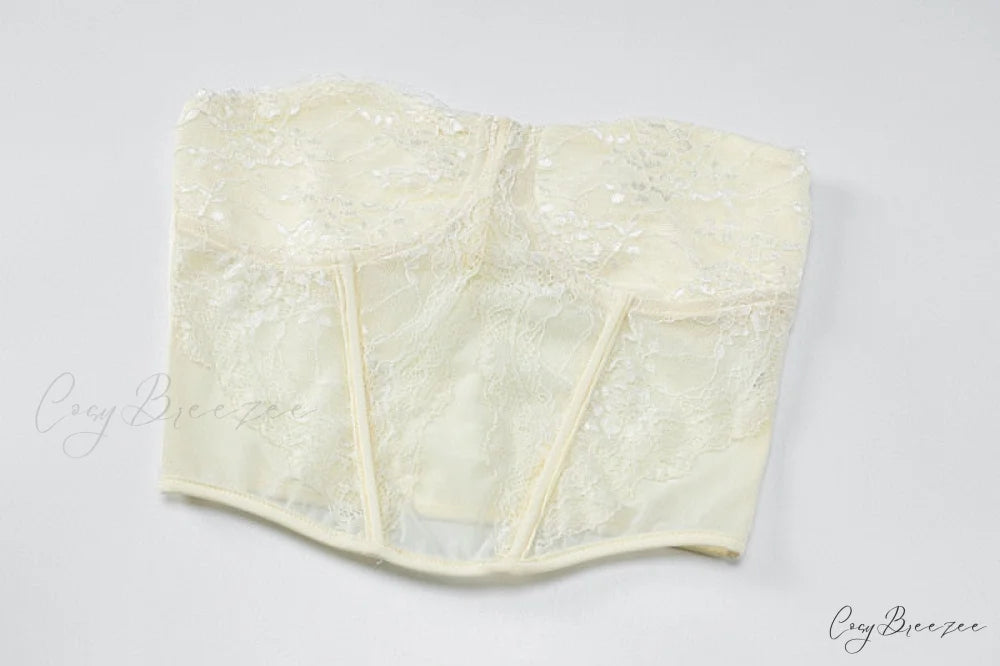 Lace Sheer Corset Charming And Mini Skirt Set