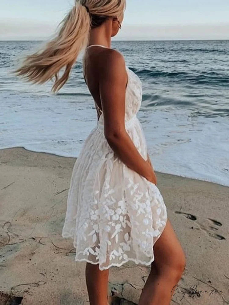 Lace V-Neck Stylish Backless Dress