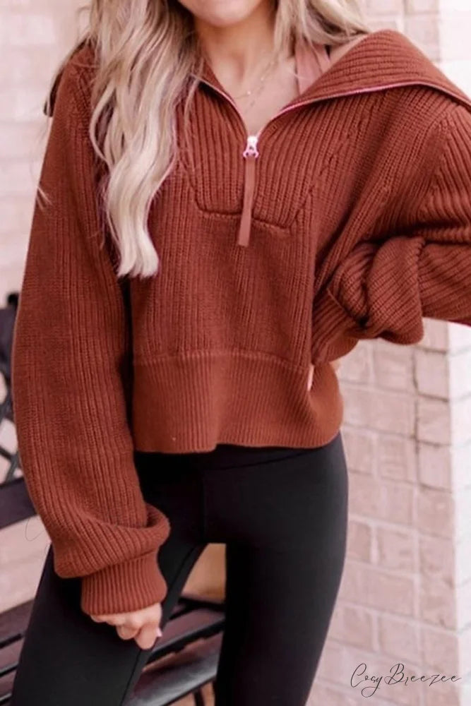 Lapel Zipper Sweater Brown / L
