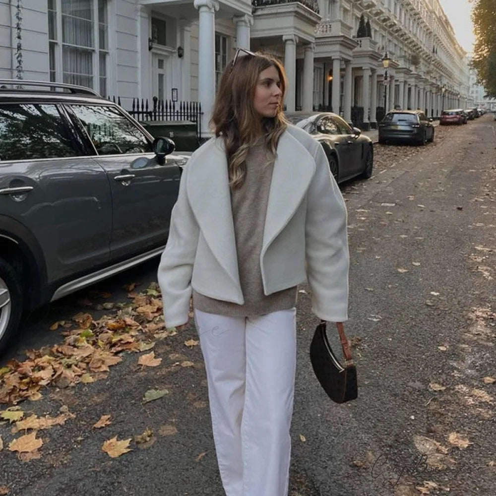 Large Collar Stylish Wool Crop Coat