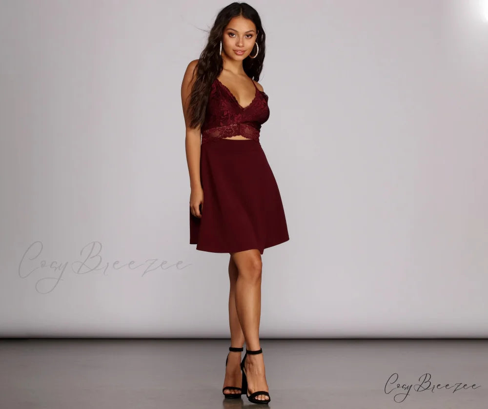 Lavish In Stylish Lace Skater Dress