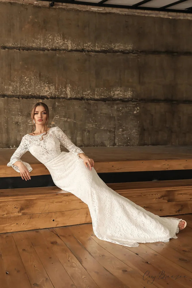 Magical Eternity Lace Trendy Mermaid Wedding Dress