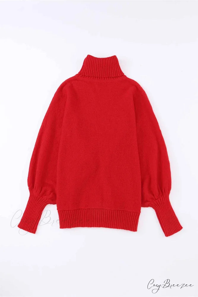 Merry Dolman Sleeve Turtleneck Knitted Sweater