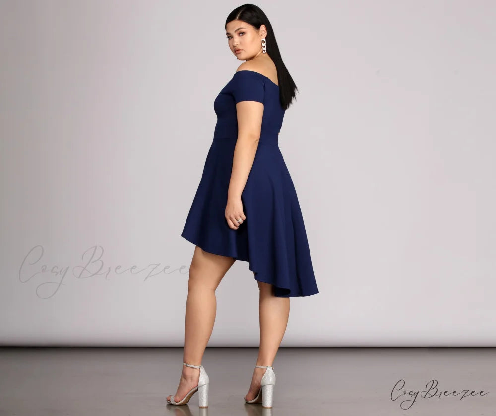Plus All The Charming Rage Skater Dress DENIM / 1X