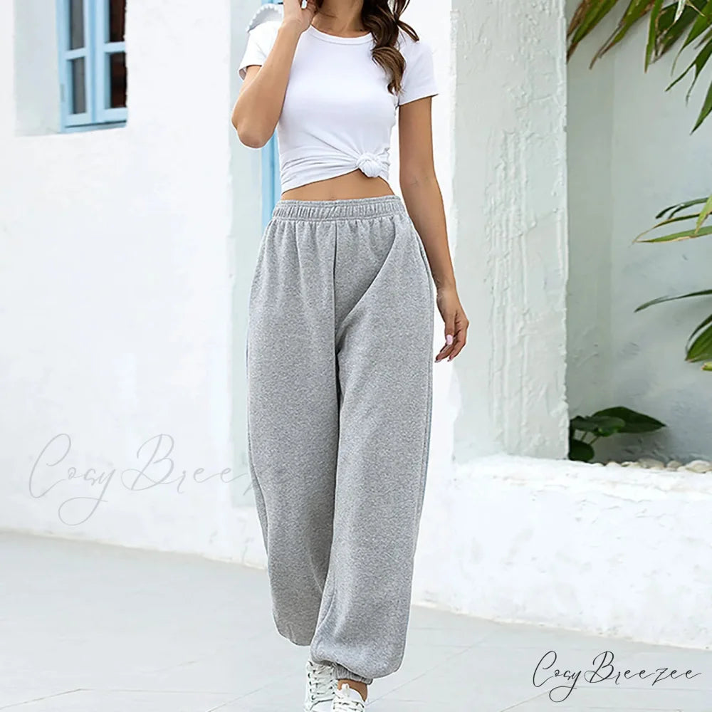 Polyester High Waist Leisure Pants Grey / S pants-241228