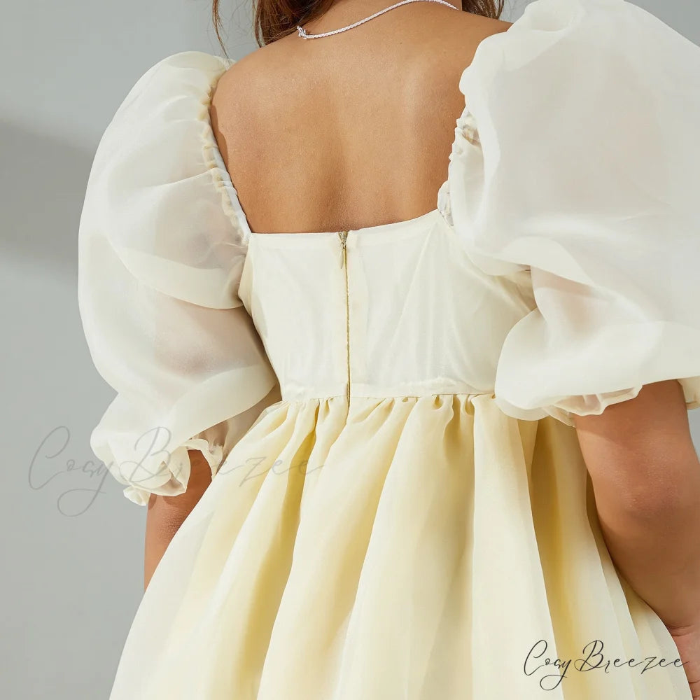 Puff Sleeve Stylish Tulle Mini Dress
